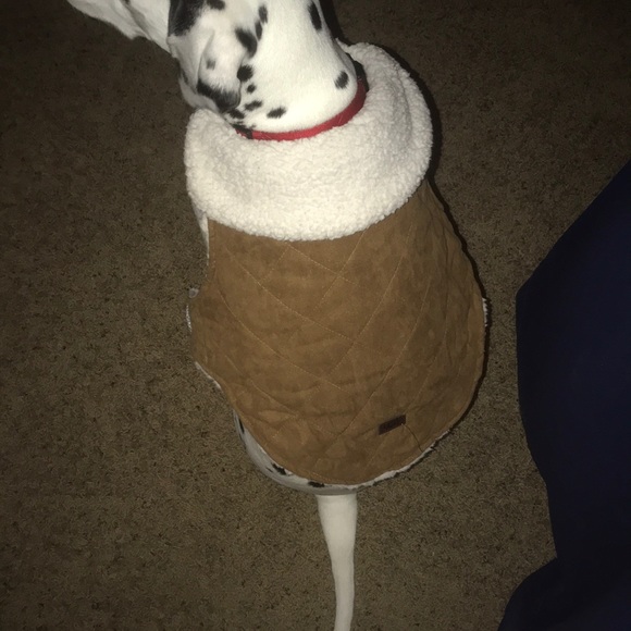 ugg jackets for dogs